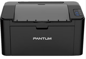 A4黑白打印机 奔图/PANTUM P2500