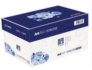复印纸 天章/TANGO 天章 天章韵 A4 80g 10包 400张/包 白色