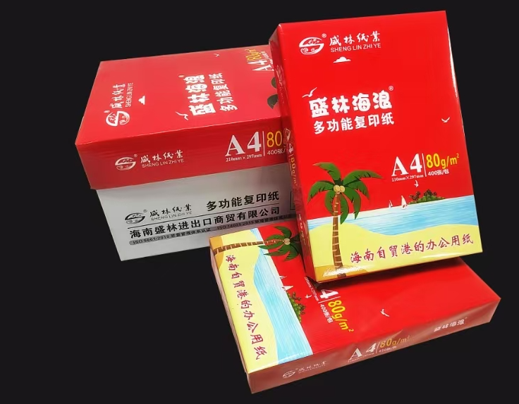 复印纸 盛林海浪 无系列 A4 80g 10包 400张/包 白色