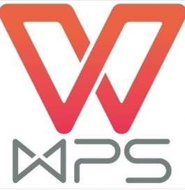 办公套件 金山/WPS 2019专业增强版 专业增强版