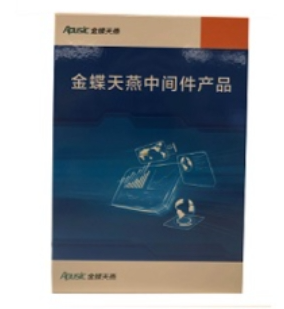 中间件 金碟 V10 应用服务器中间件