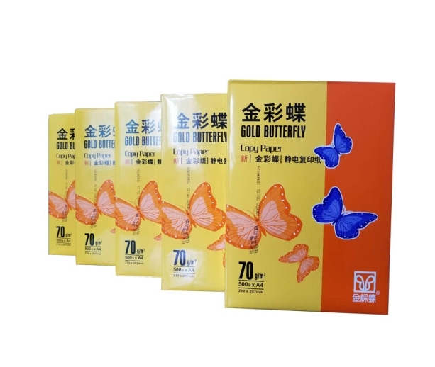 复印纸 金光/APP 金光 小钢炮 A4 80g 10包 500张/包 白色
